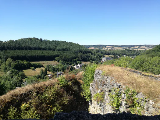 Ruine du chateau Franchimont (Belgique)